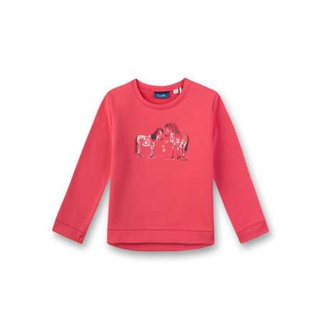 Фото товара "Kidswear" Толстовка 