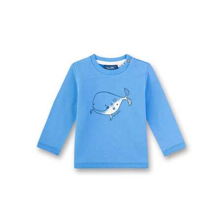 Фото товара "Kidswear" Толстовка 