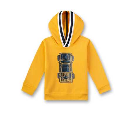 Фото товара "Kidswear" Толстовка 