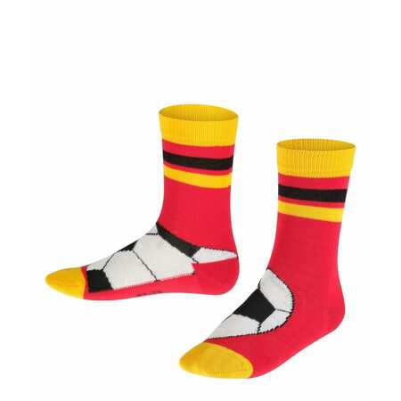 Фото товара "FALKE" Носки EM-Soccer 