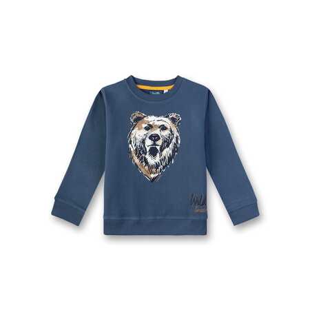 Фото товара "Kidswear" Толстовка 